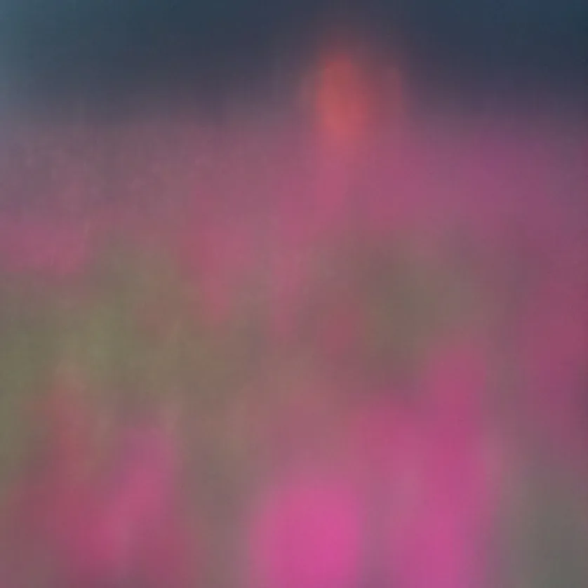 i ♥ my new filter! @ tanti fiori rosa, una persona arancione.