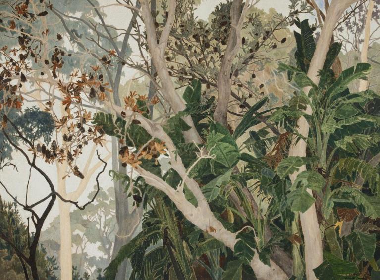 Opera di Cressida Campbell.