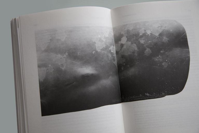 Jonathan Delafield Cook, Sperm Whale II, 2013. Particolare di un disegno a grafite su tela riprodotto in Bathygraphica, pp.198-199.