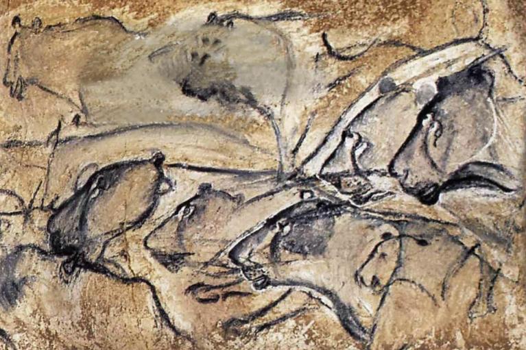Profili di felini, grotta di Chauvet, Vallon-Pont-d'Arc, Francia.