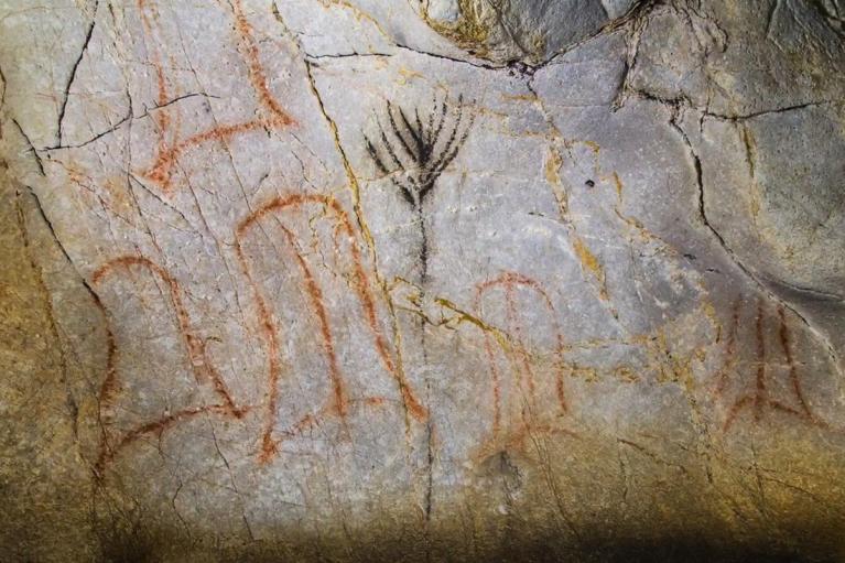 Segni schematici e geometrici individuati da Genevieve von Petzinger in grotte paleolitiche.
