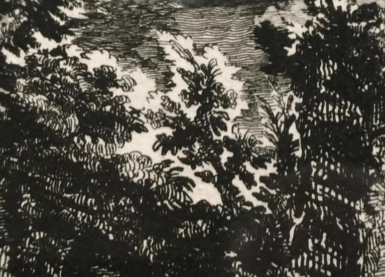 Giovan Battista Piranesi, dettaglio tratto da Veduta delle Terme di Tito (Vedute di Roma, 1745-78).