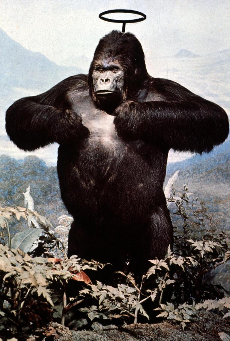 Gorilla Mendini, Copertina di “Casabella”, luglio 1972.