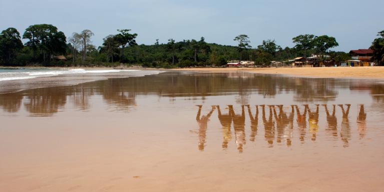 Jeannette Ehlers, Atlantic (Endless Row), 2009.