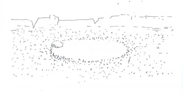 Tracce. Una pietra nel deserto, M’Hamid (Marocco). Disegno di Gilles Clément.