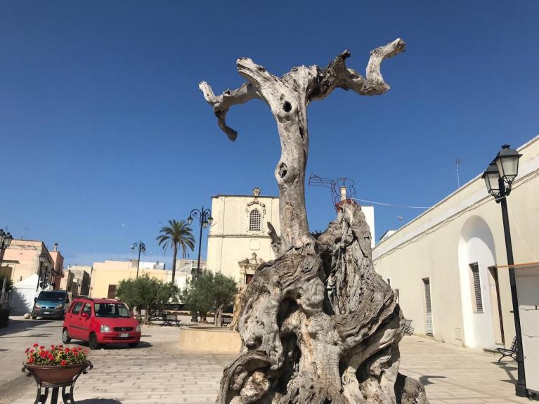 La piazza di Borgagne.