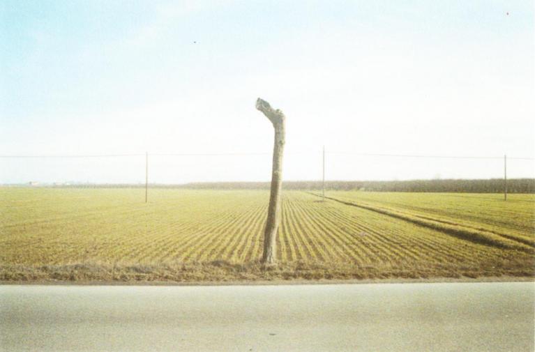 Ph Luigi Ghirri.
