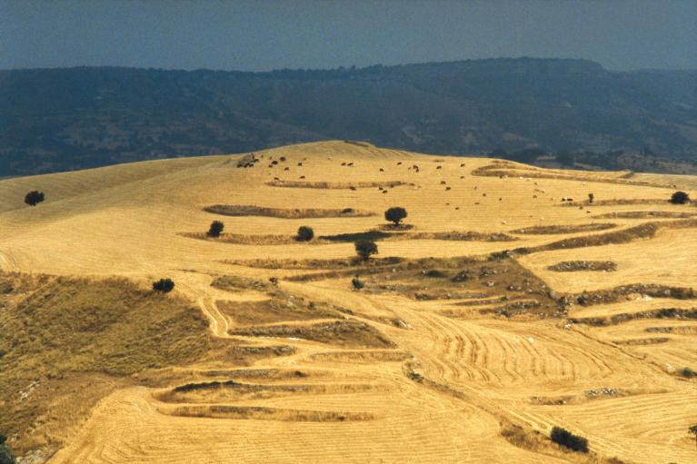 Giuseppe Leone, Paesaggio Ibleo.