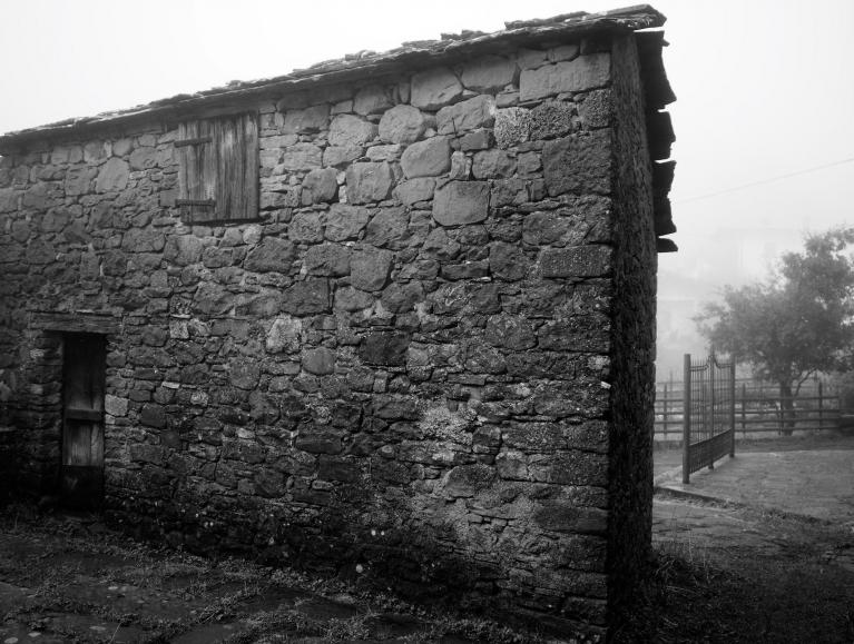 Ph Mimmo Spadoni.
