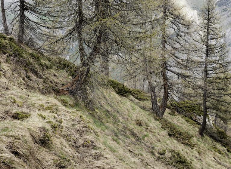 Disappeared ©Luca Prestia