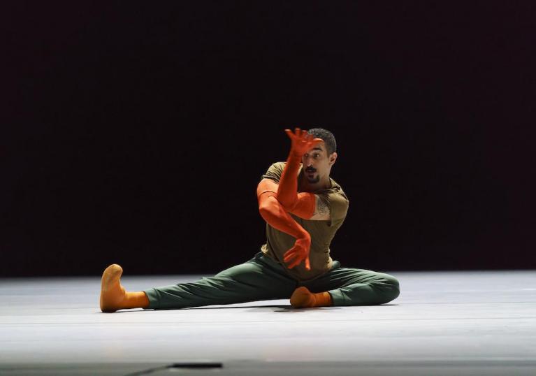A Quiet Evening of Dance.