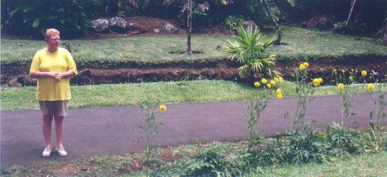Apparizioni. Giardino di Pamplemoussess, Isola Mautitius (Repubblica di Mauritius). Foto di Gilles Clément.