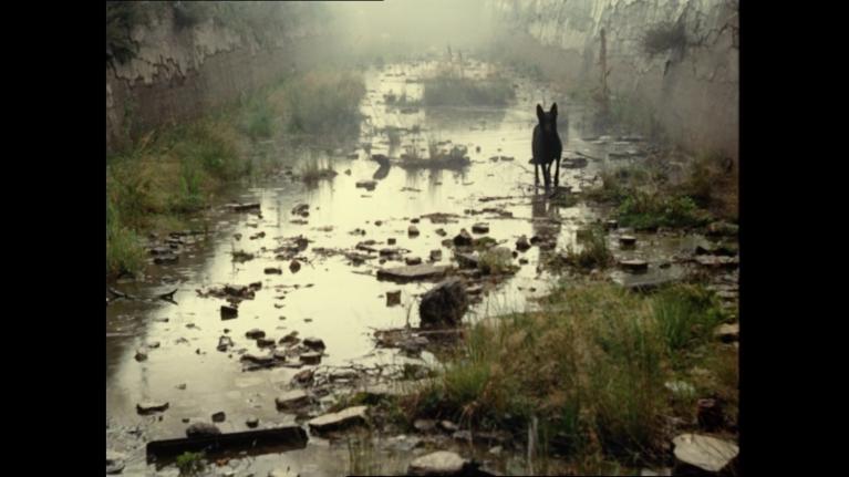 Andrej Tarkovskij, Stalker, 1979.