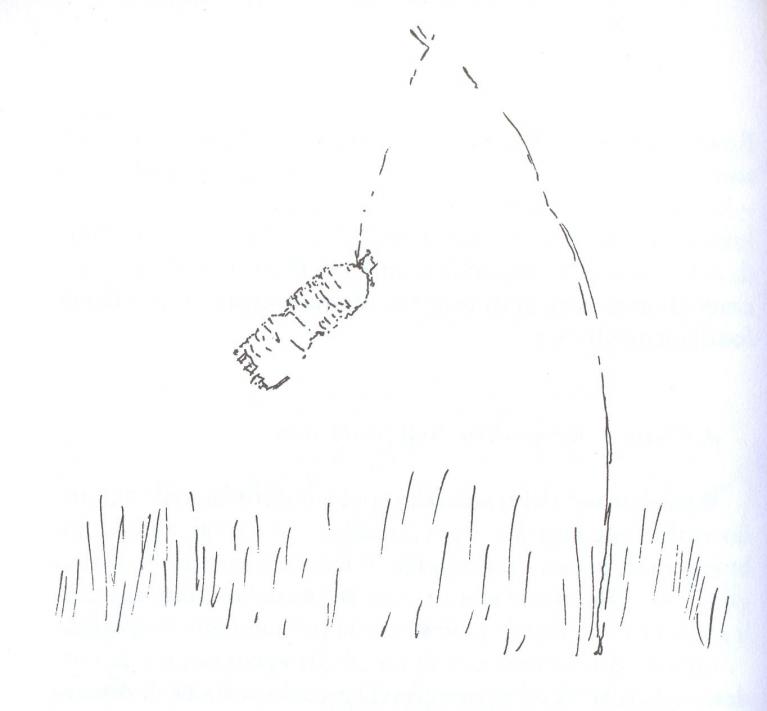 Voli. Mahambo (Madacascar). Disegno di Gilles Clément.