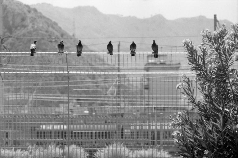 Ph A. Costa.