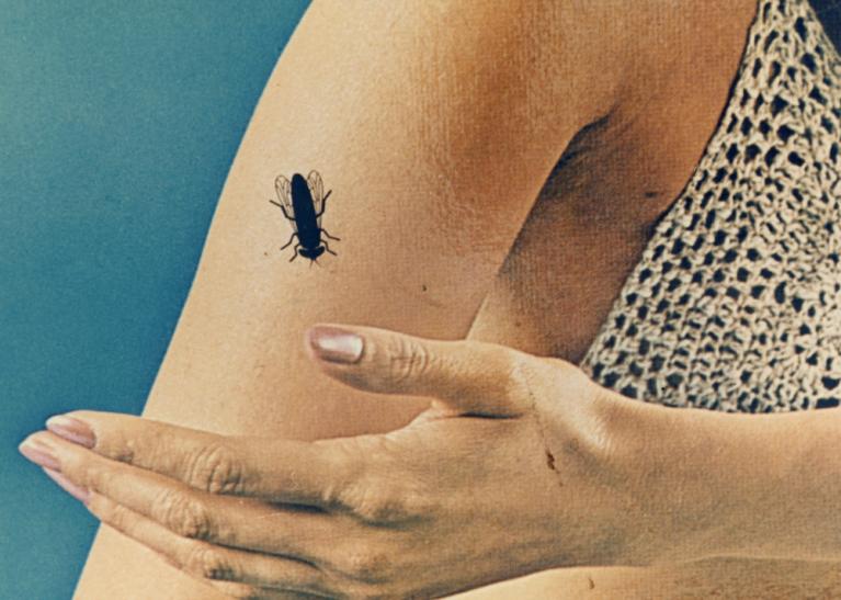 Luigi Ghirri, dalla serie Kodachrome, 1971