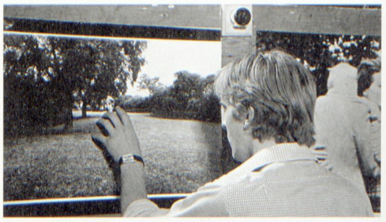 Antonioni, Blow up (1966).