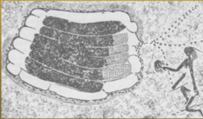 10.000 anni fa, nello Zimbawe, era già in uso il sistema della fumigazione dell’arnia.