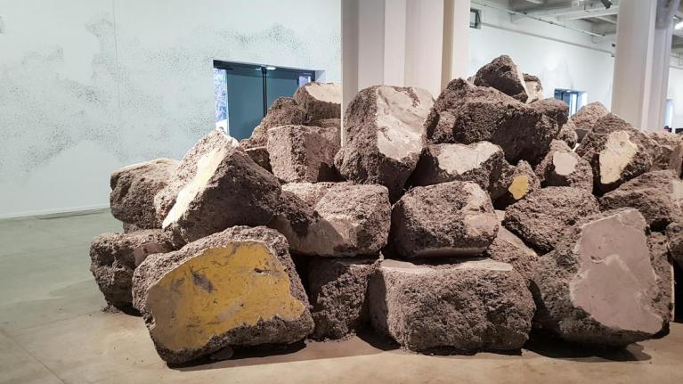 Biennale di Lyon, 2017.