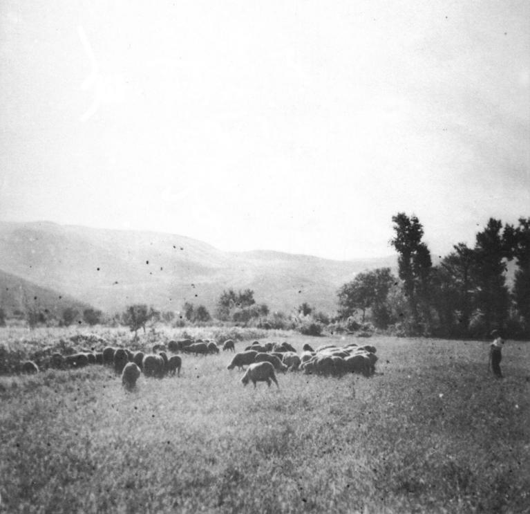 Collezione privata Tonino Puglielli.