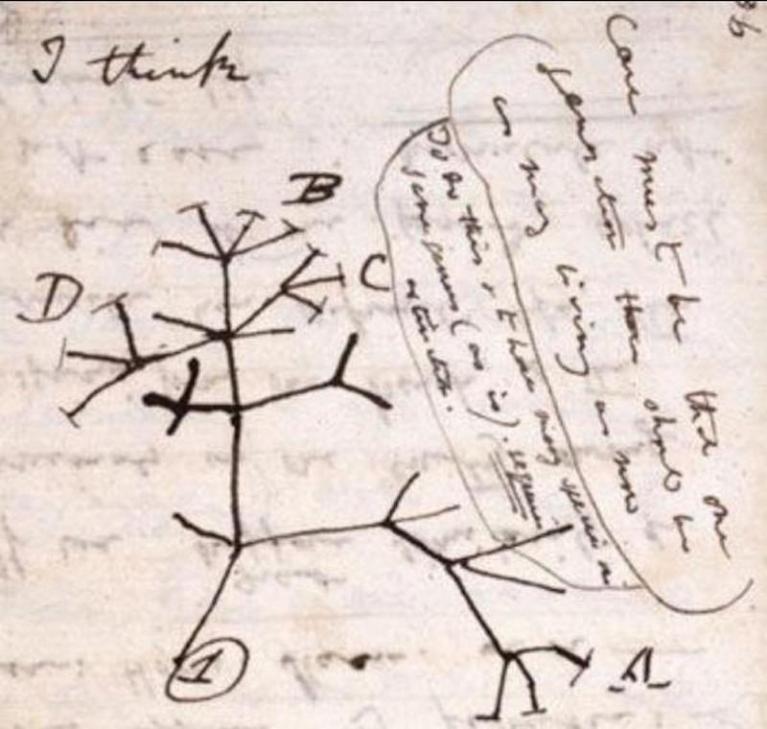 Darwin Notebook.