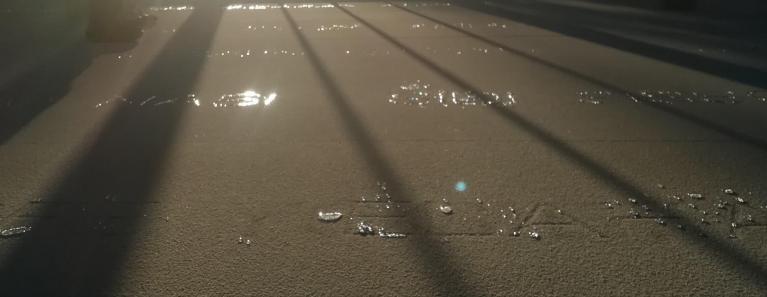Ph Maria Teresa Carbone, Doris Salcedo, Palimpsesto.