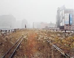 Ph Joel Sternfeld.