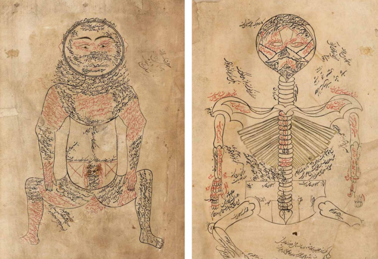 Le due raffigurazioni dello scheletro umano tratte dal Canone di Medicina di Avicenna, che aprono e chiudono Cellula.
