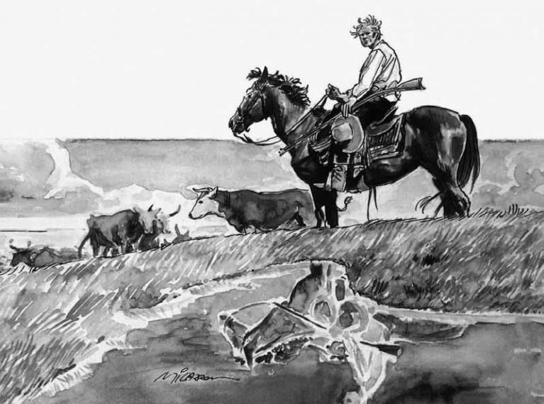 Disegno di Ivo Milazzo.