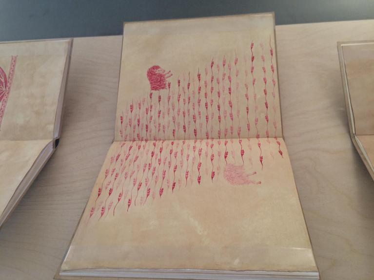Asli Çavuşoğlu, RED/RED (2015-2017)