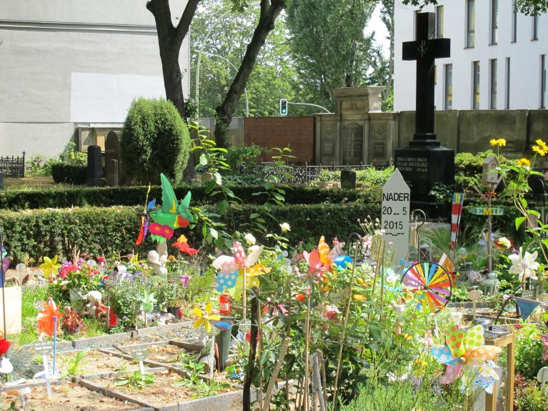 Il giardino dei bambini stella.