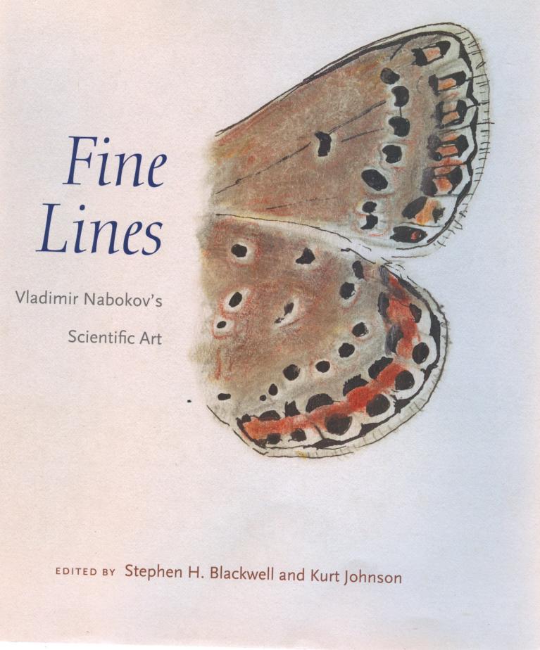 In copertina, la pagina esterna delle due ali di una farfalla Licenide. Quando la farfalla si posa, ad ali chiuse i colori sono spenti, ravvivati da piccole macchie nere, bianche e arancioni.