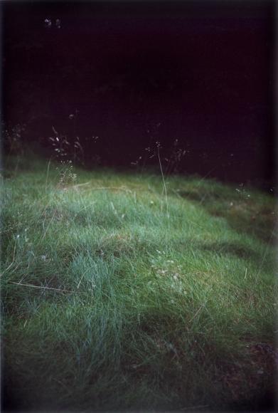 Jitka Hanzlová, Forest (2000-2005).