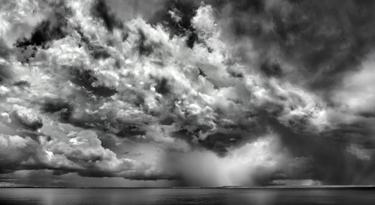 Ph Murray Fredericks.
