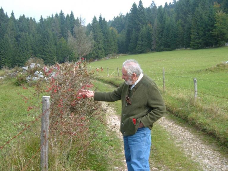 Asiago, 2005: Mario Rigoni Stern