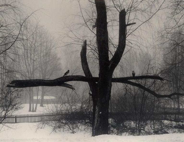 ph. Pentti Sammallahti