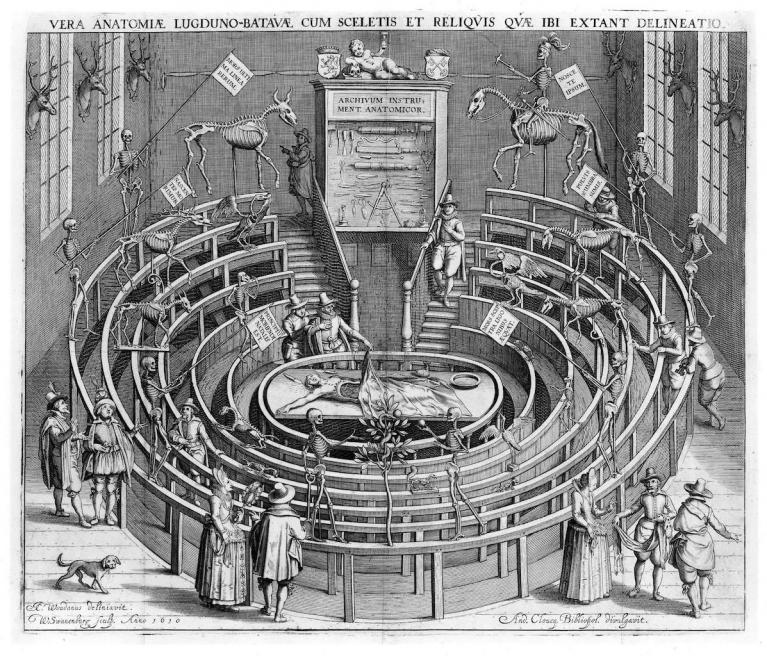 Anatomical Theatre Leiden.