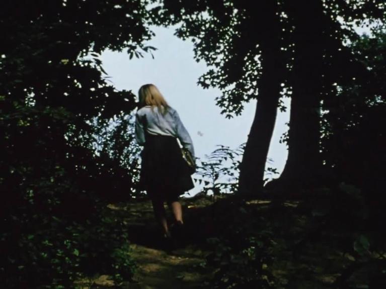 Jonas Mekas, The seasons, 2017.