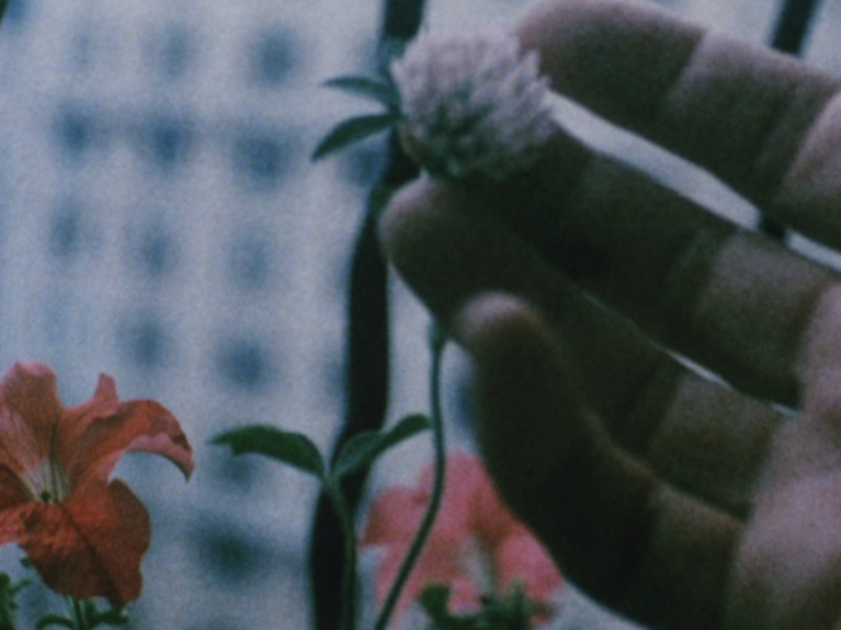 Jonas Mekas, The seasons, 2017.
