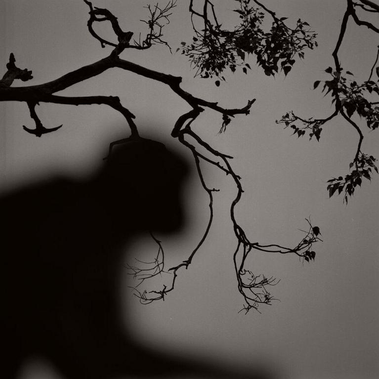 Ph Kenro Izu.