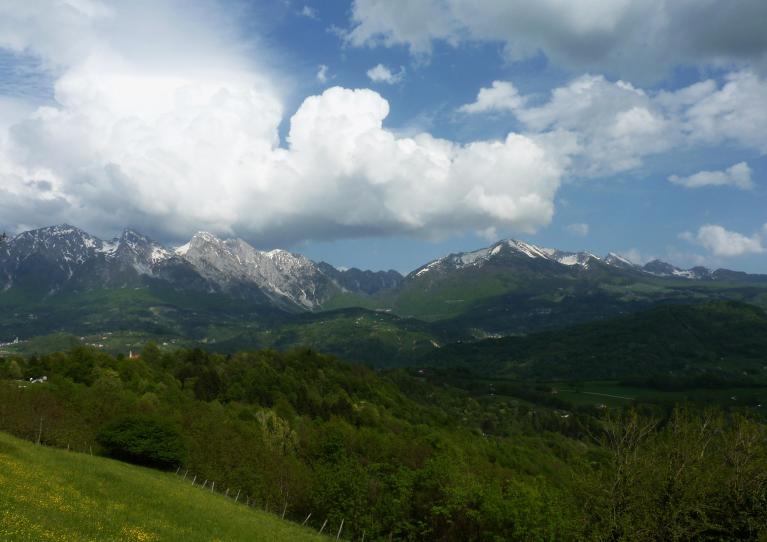L'alpago.
