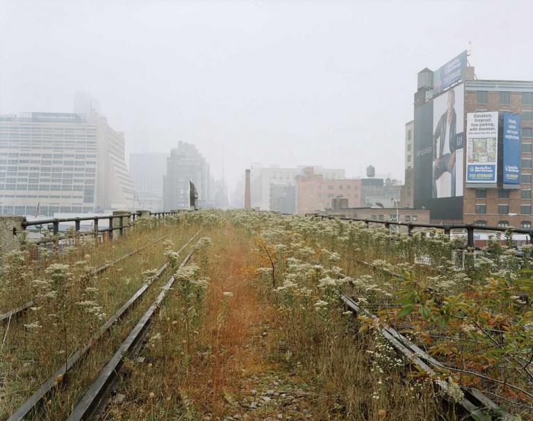 Ph Joel Sternfeld.