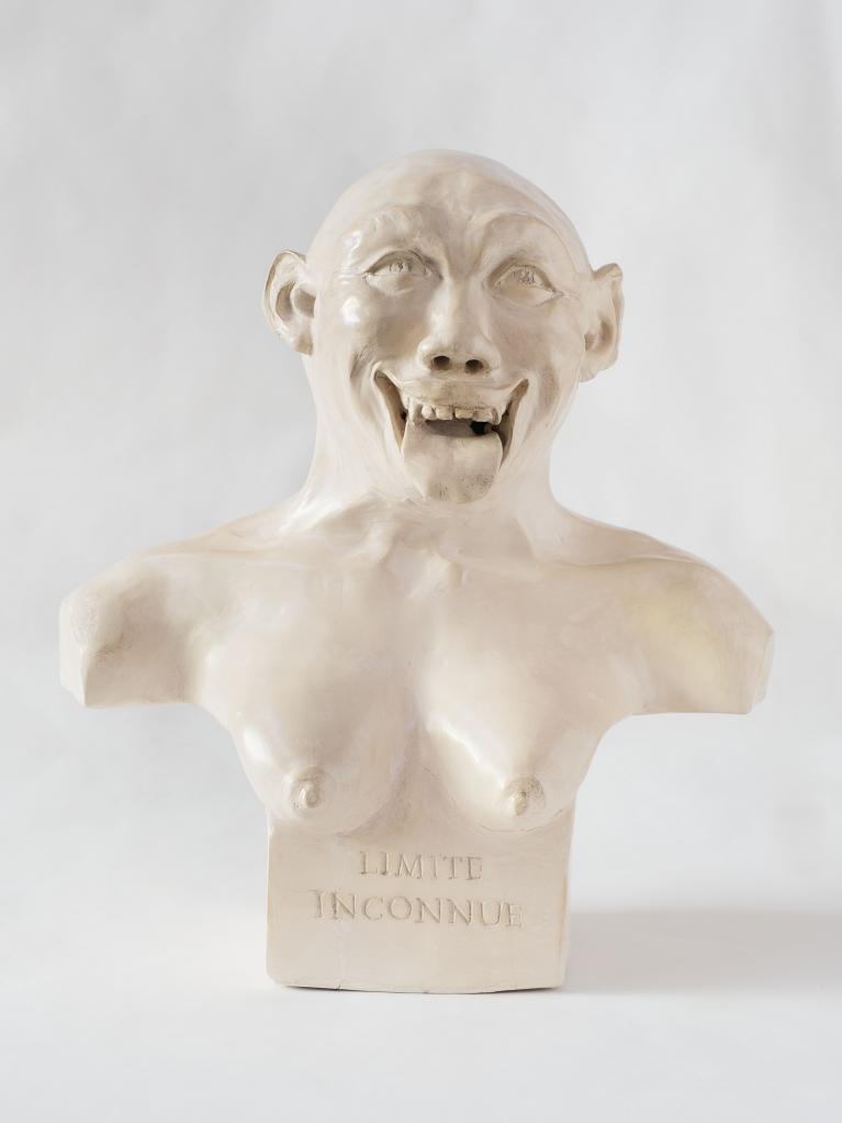 Dario Ghibaudo, Limite inconnue, Museo di Storia Innaturale, Sala XVII - I busti, 2012-2013. Terra bianca lucidata a cera.