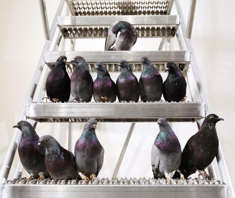 Turisti, Maurizio Cattelan.