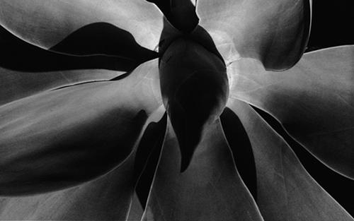 Ph Rafael Navarro.