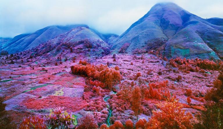 Ph Richard Mosse.