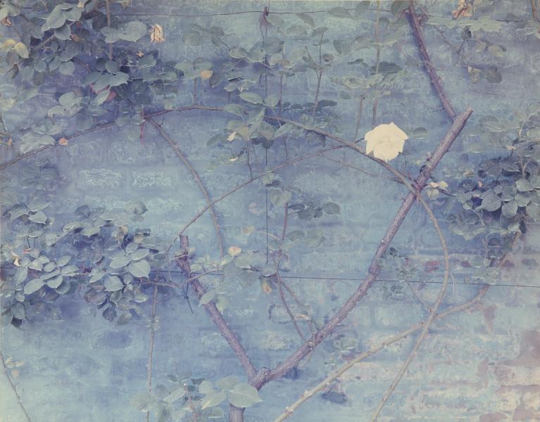 Luigi Ghirri