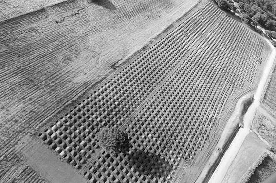 Santiago Serra, 3000 buchi ciascuno di 180x50x50 cm, luglio 2002, Cadiz Spagna.