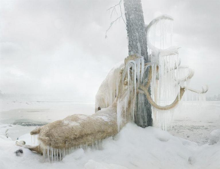 Ph Simen Johan.