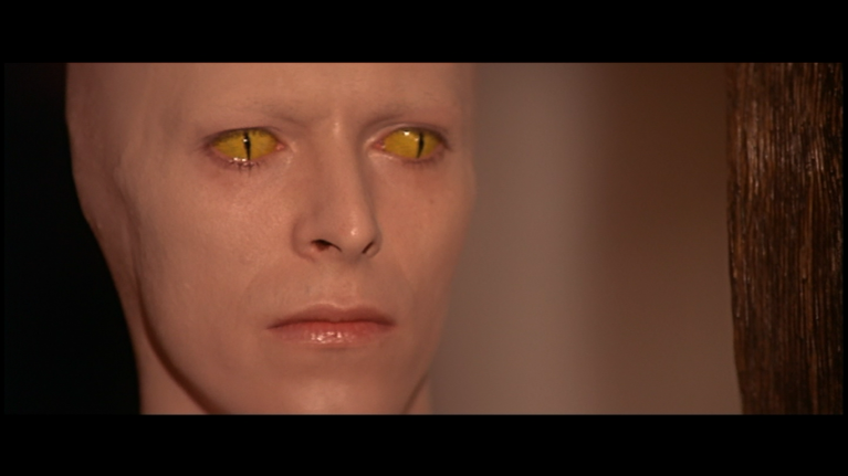 The man who fell to earth, David Bowie.